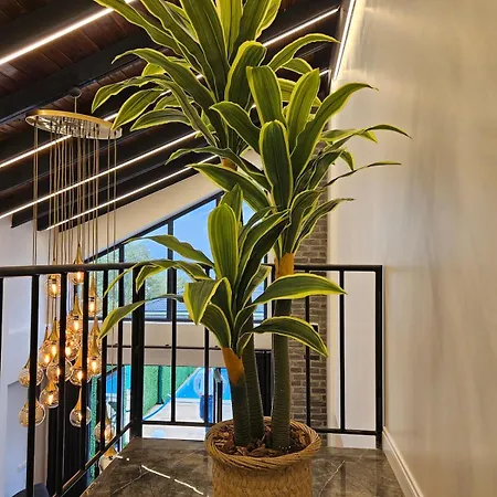 Modern Villa Sapanca